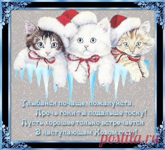 НОВОГОДНИЙ - 50 фото. Фотографии zoja simonova.