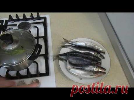 Очень вкусная Иваси//солим дома