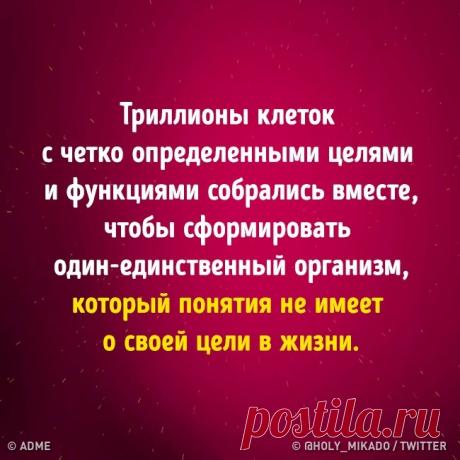 AdMe.ru