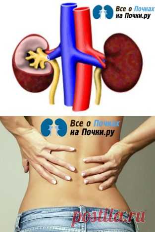 Почки.ру: все о заболеваниях почек и их лечении