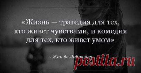 (6) Одноклассники