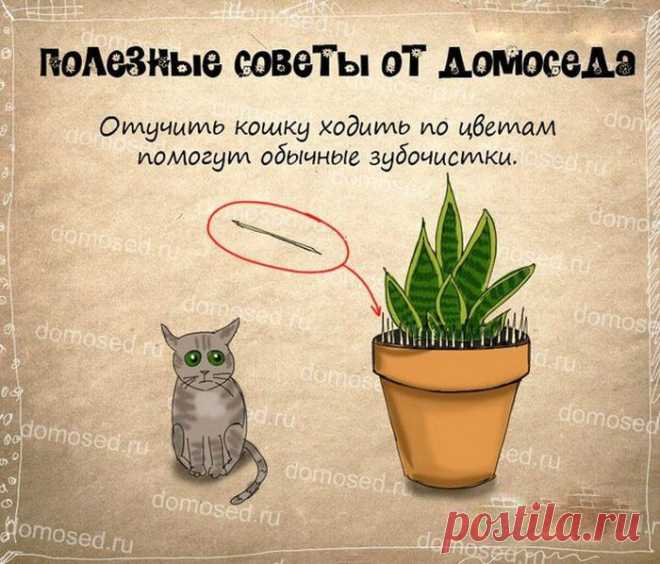 Супер полезные советы — Болтай