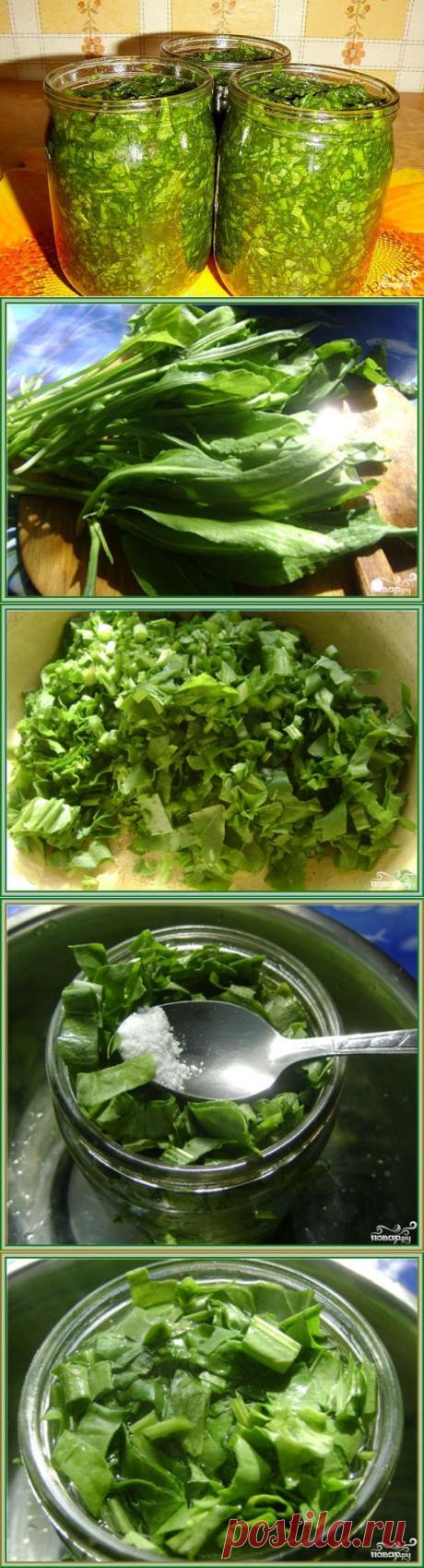 Щавель консервированный - пошаговый кулинарный рецепт на Повар.ру