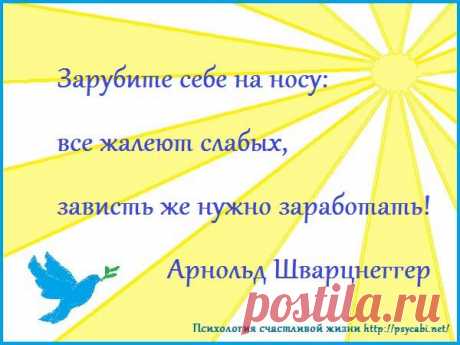 Мотивация успех. Бизнес мотиваторы. Любимая работа, развитие. - Психология счастливой жизни