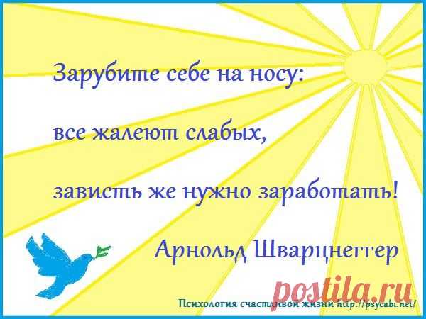 Мотивация успех. Бизнес мотиваторы. Любимая работа, развитие. - Психология счастливой жизни