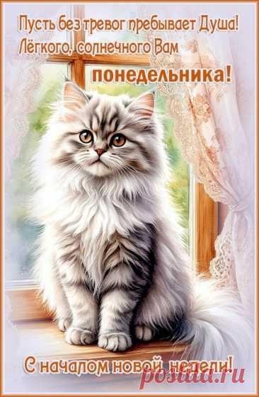 24613ee2.jpg (668×1024)