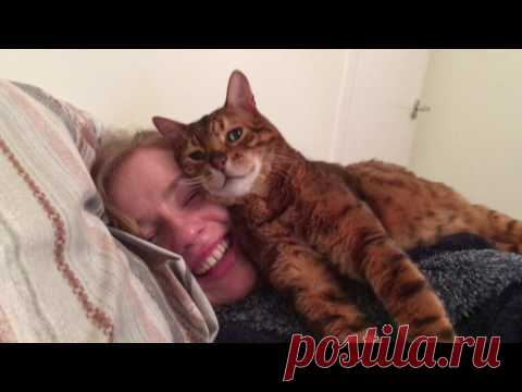 Парень решил познакомить своего кота с новой девушкой! Такой реакции от котика он точно не ожидал 

 


Владелец этого шикарного котика решил, что настало время познакомить с ним свою девушку. Ведь это очень важно, что бы твой питомец принял нового члена семьи. И тем более, если речь идет об очень…
