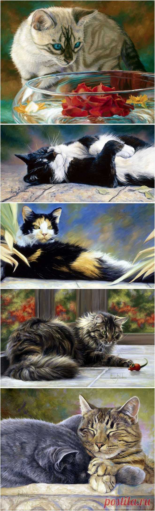 Кошки – венец творения, апогей ловкости и феерия очарования. Художница Люси Байлодэй (Lucie Bilodeau)