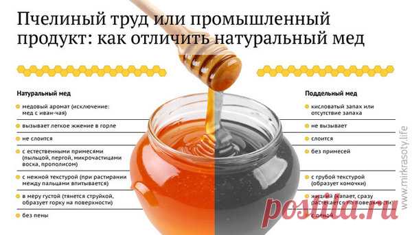 Как легко узнать, что мед - поддельный! Гениальные способы! | dublog.ru | Яндекс Дзен