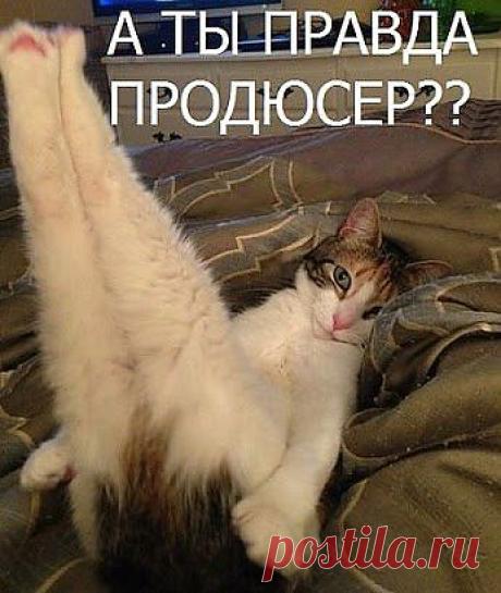 Google+