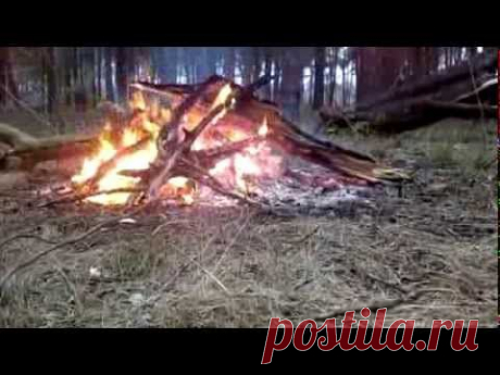 Релакс музыка. Звук костра. Пение птиц. RELAX MUSIC. MUSICA MEDITACION. MEDITATION MUSIC - YouTube