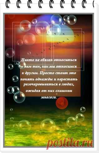 Сколько в людях ни разочаровывайся, все равно удивят))

#интернет_бизнес #разочарование