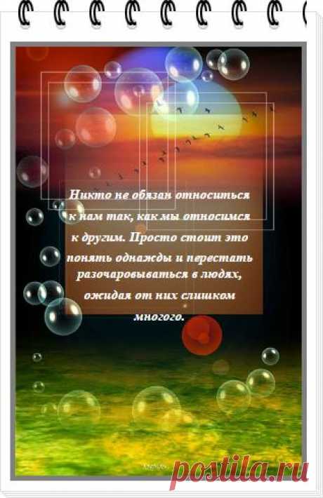 Сколько в людях ни разочаровывайся, все равно удивят))

#интернет_бизнес #разочарование