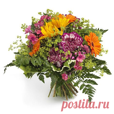 http://www.цветы-шары-доставка.рф/