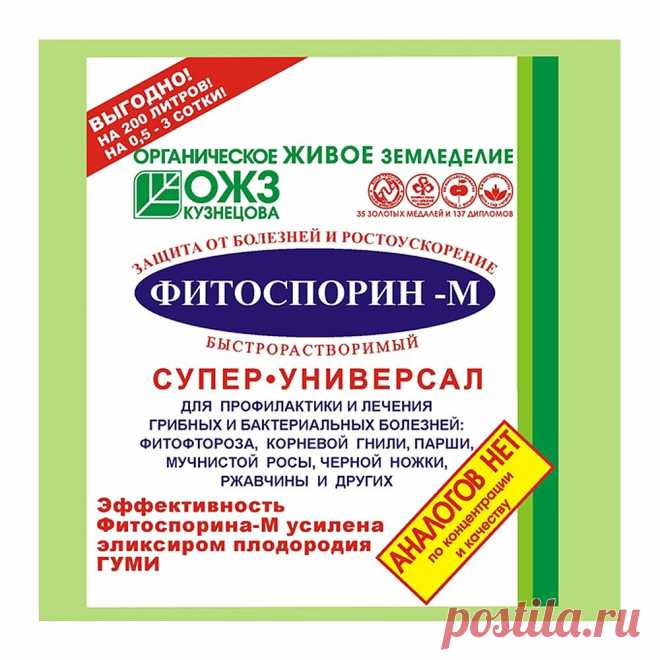 Почему не работает 