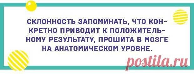 Мы склонны к предрассудкам / Научный хит