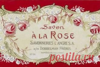 Визитная карточка: часть делового имиджа или правило этикета? - свежие новости Украины и мира