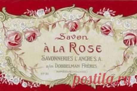 Визитная карточка: часть делового имиджа или правило этикета? - свежие новости Украины и мира