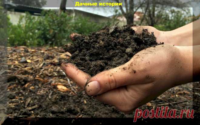 Правильное осенние внесение органических удобрений для восстановления плодородия  почвы и ее насыщения полезными удобрениями способствует поддержанию и восстановлению здоровой почвы.
Осенью, как правило, проводят полное внесение органики, когда навоз или компост вносят под перекопку.
Внесение органики осенью - это способ, который обеспечивает длительное и стабильное использование органических веществ растений после того, как они были внесены под осеннюю перекопку (глубокую или неглубокую), а т…