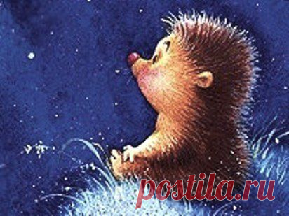 Почти притча о ежике — Народные приметы