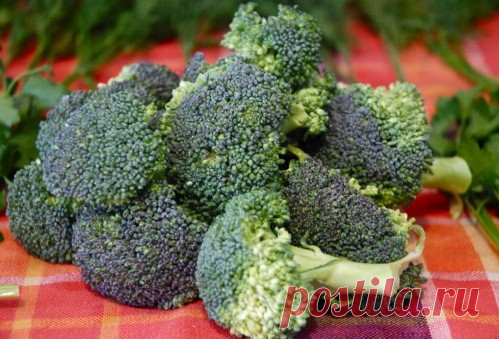 6 продуктов для улучшения гормонального фона » Витрина Женского счастья