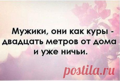 Картинки с юмором: прикольные надписи и фразы | В темпі життя