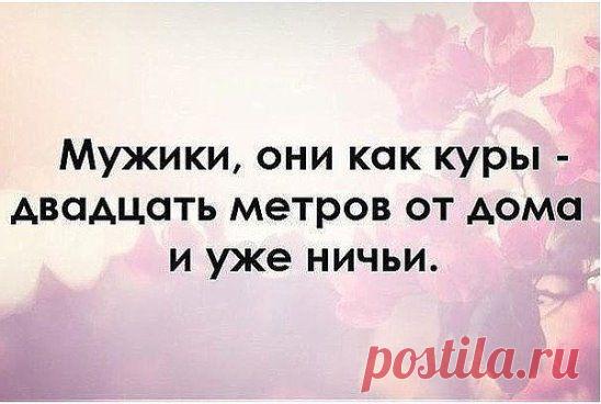 Картинки с юмором: прикольные надписи и фразы | В темпі життя