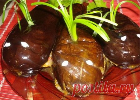Блюда из баклажан - лучшие рецепты -приготовления.-Закуска «Три кита»