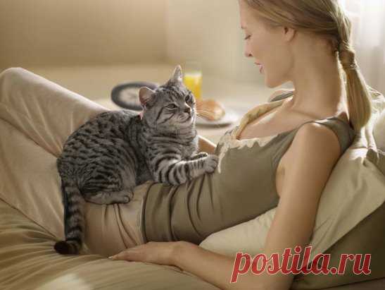 ПОЧЕМУ КОШКА ЛОЖИТСЯ НА БОЛЬНОЕ МЕСТО ЧЕЛОВЕКА?