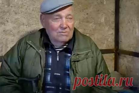 В России 90-летний житель сгоревшего дома был вынужден жить в собачьей будке. В Курганской области 90-летний пенсионер был вынужден поселиться в собачьей будке после того, как местные власти не выдали ему сертификат на приобретение нового жилья. Мужчина не захотел надолго оставаться у родственников. Дочь погорельца обращалась в соцслужбы, но чиновники перестали принимать женщину.