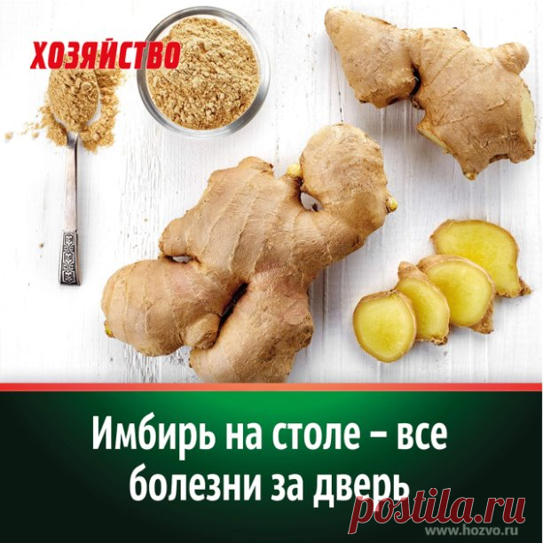 Вот уже пять тысяч лет имбирь считается целебным корнем. В Древнем Китае им заживляли раны и разжигали страсть, лечили проказу и столбняк, в Древнем Риме избавлялись от лихорадки и простуды, а древние греки жевали кусочек корня имбиря от рвоты и жуткого похмелья.

Современная медицина тоже считает имбирь универсальным лекарственным средством, описывая более двадцати его целебных свойств. Среди них лечение почек и печени, бронхиальной астмы и бесплодия.
Несомненно, употребл...