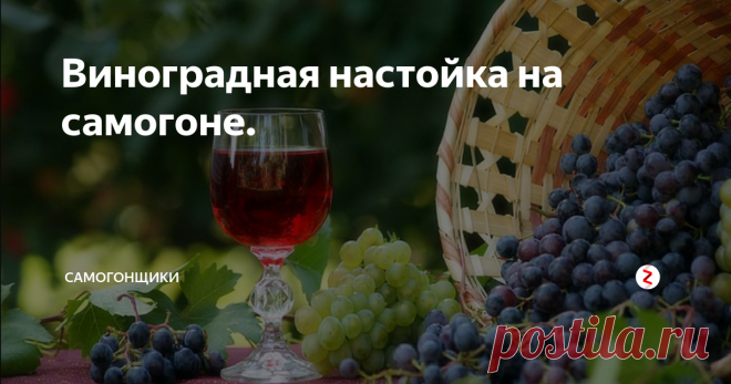 Виноградная настойка на самогоне. Кроме вина и чачи (граппы) из винограда получаются отличные настойки на водке или другом крепком спиртном. Эти вкусные и в умеренных количествах полезные десертные напитки готовятся очень просто, нужно лишь запастись терпением.
Больше статей на наших каналах: Телеграм, Вконтакте, Яндекс Дзен, Одноклассники
Для приготовления виноградных настоек годятся любые сорта винограда (белого и красного), куп