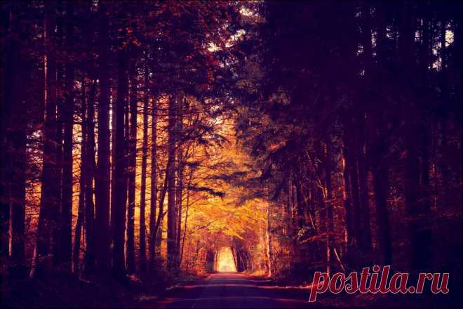 Autumn in Northern Germany