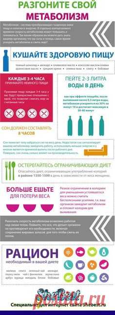 Метаболизм