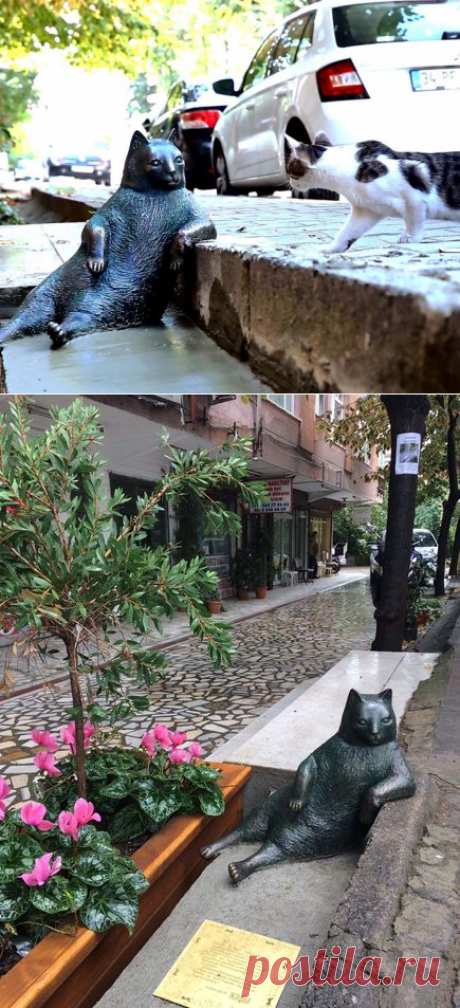 В Стамбуле жил кот по кличке Томбили, ставший любимцем и жителей, и гостей города. После его смерти ему поставили памятник, однако простоял он всего месяц: на днях неизвестные похитили скульптуру. / Анастасия Баринова. 09.11.16  
|  В Стамбуле похищен памятник коту-мыслителю — National Geographic Россия