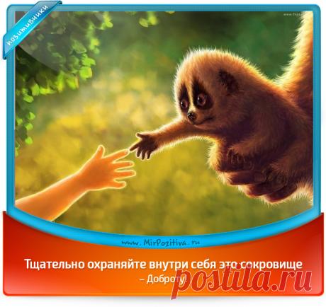 Январские позитивчики