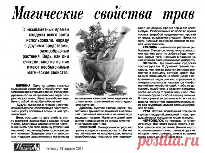 Магические свойства трав