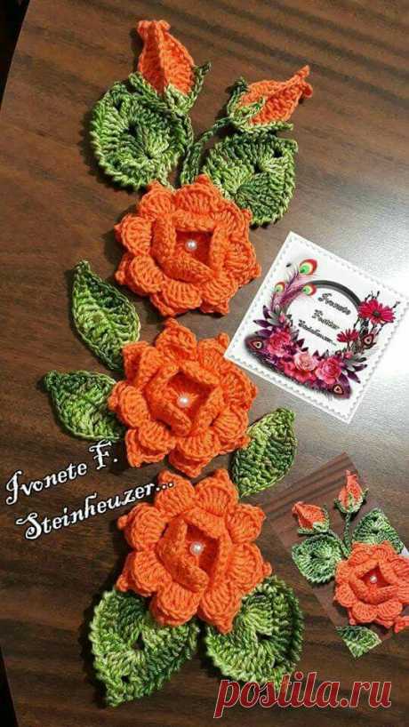 (3) Pinterest