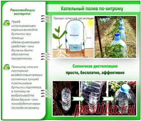 Дачные хитрости. - Садоводы Тюмени