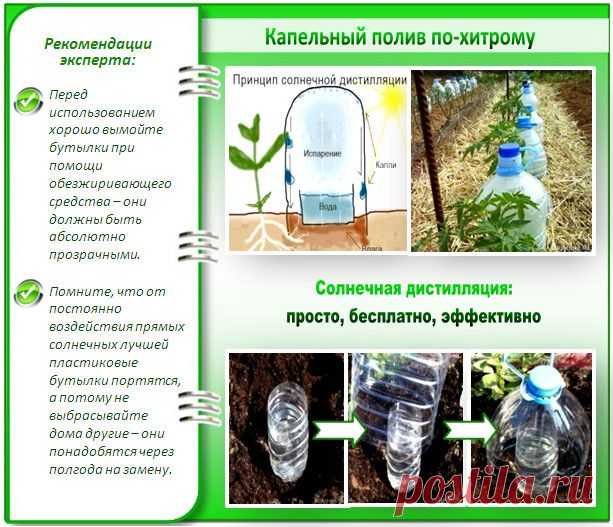 Дачные хитрости. - Садоводы Тюмени