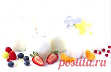 Продукты-пробиотики. Пробиотики в продуктах питания