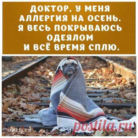 — Доктор, лес остыл и листья сбросил. Что со мной? — У вас просто осень
Помню, в школе мы писали сочинения про осень. И всегда удивляло, что на картинах художников и в стихотворениях поэтов осень — это целых три месяца. Пафосный сентябрь, более скромный, но всё ещё симпатичный октябрь и прозрачный, прощальный ноябрь. По моим наблюдениям выходило, что осень длится только один месяц — сентябрь. Да и то две недели. […]
Читай пост далее на сайте. Жми ⏫ссылку выше