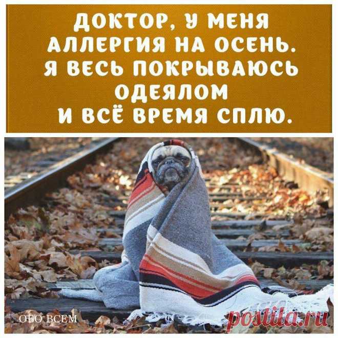 — Доктор, лес остыл и листья сбросил. Что со мной? — У вас просто осень
Помню, в школе мы писали сочинения про осень. И всегда удивляло, что на картинах художников и в стихотворениях поэтов осень — это целых три месяца. Пафосный сентябрь, более скромный, но всё ещё симпатичный октябрь и прозрачный, прощальный ноябрь. По моим наблюдениям выходило, что осень длится только один месяц — сентябрь. Да и то две недели. […]
Читай пост далее на сайте. Жми ⏫ссылку выше