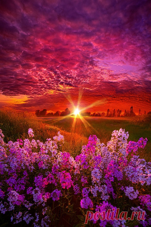 The Everlasting Phil Koch