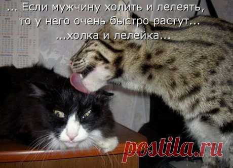 Взаимные симпатии