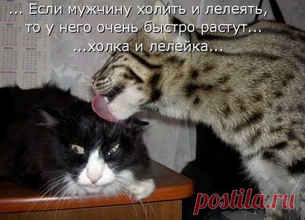 Взаимные симпатии