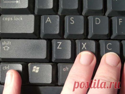 Как скопировать текст с сайта?