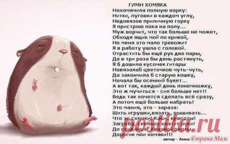 гимн хомяка