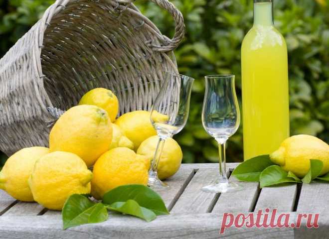 Домашний лимончелло - рецепт лимонного ликера - Напитки - Женский Мир