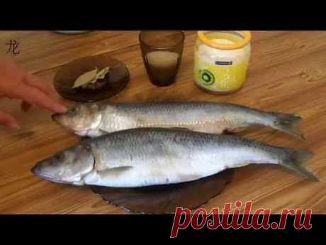 Малосольная селедка